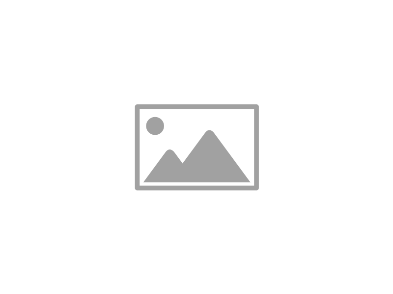 2005